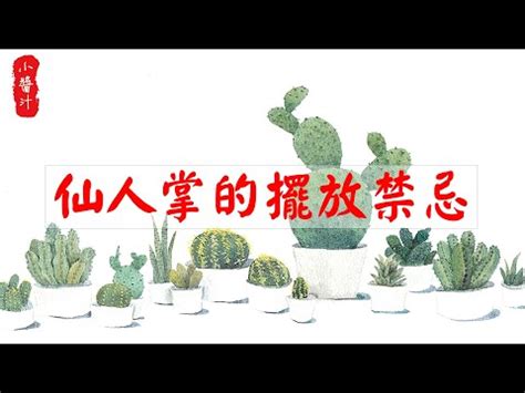 陽台種仙人掌|仙人掌後陽台擺放攻略